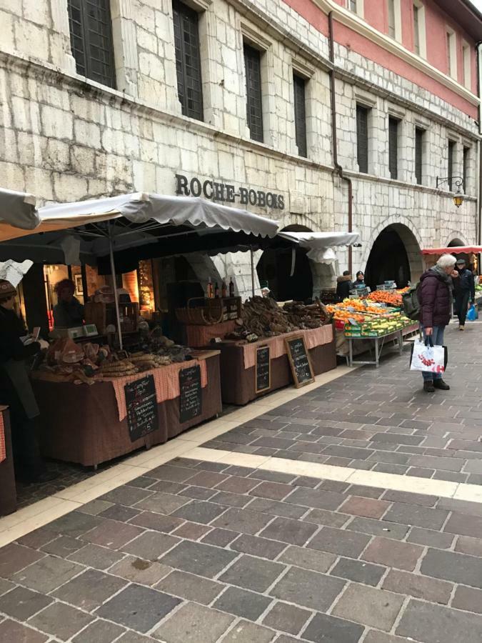 La Perle De La Vieille Ville D'Annecy Apartman Kültér fotó